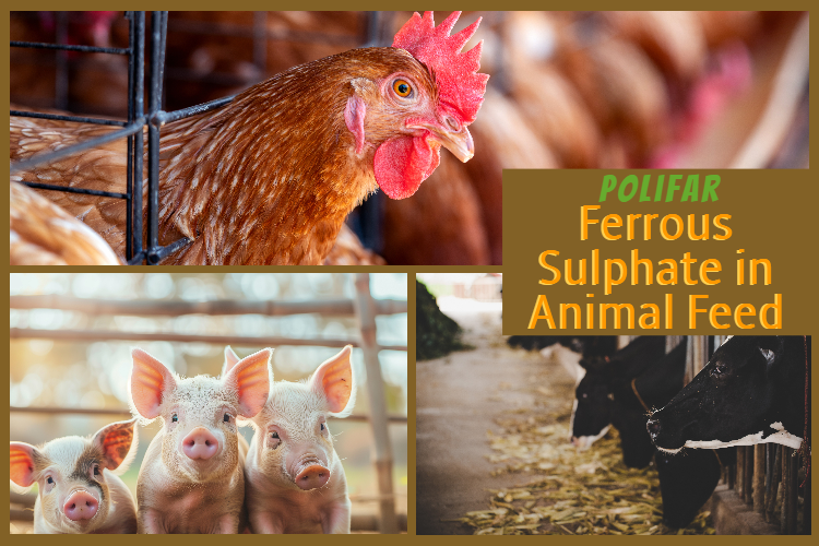 Sulfato Ferroso na Alimentação Animal