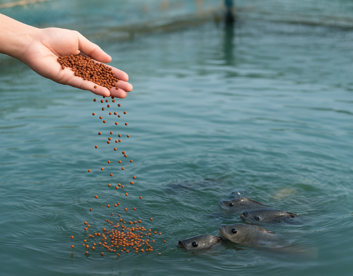 Aquicultura