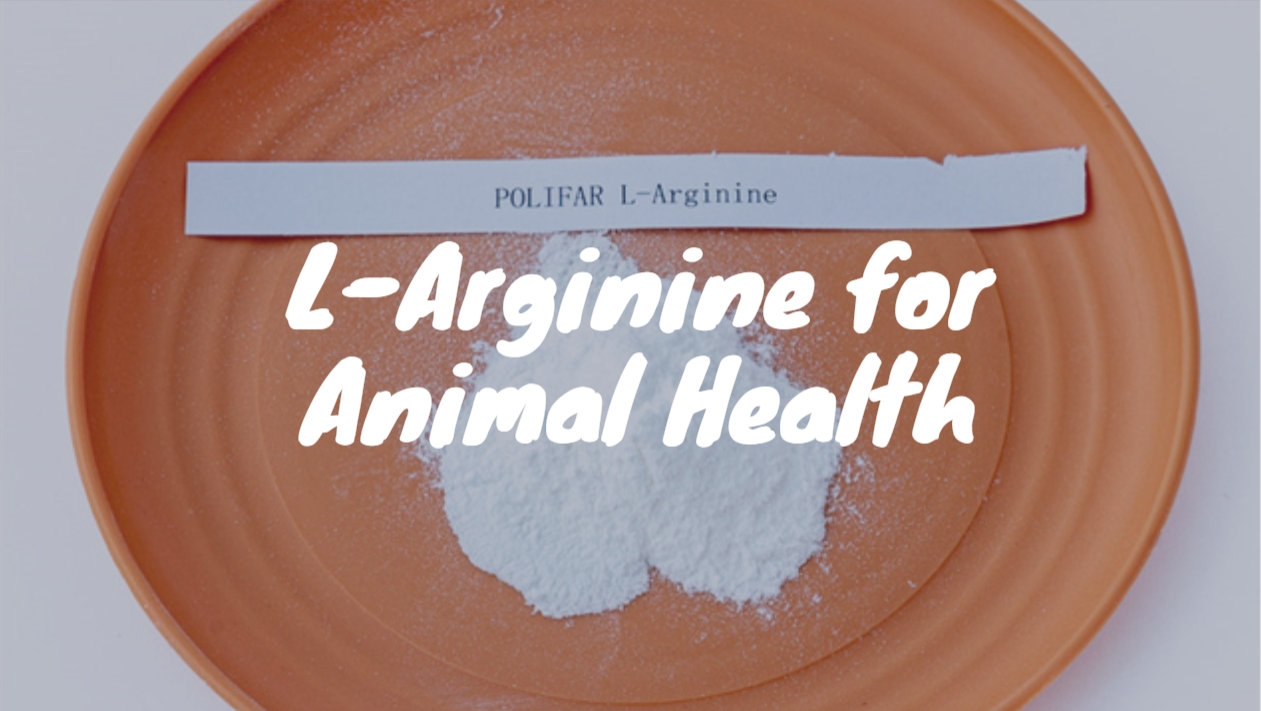 L-Arginina para Animais