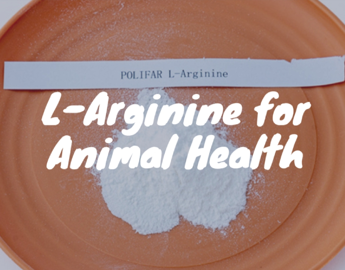 L-Arginina de qualidade alimentar: essencial para a saúde animal