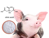 //5mrorwxhompnjik.leadongcdn.com/cloud/lrBqnKmmSRklljlqoikp/citric-acid-for-pigs.jpg