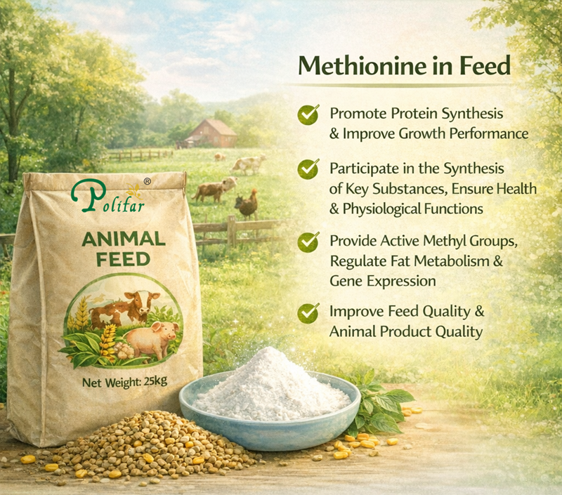 Efic&aacute;cia e efeitos da metionina