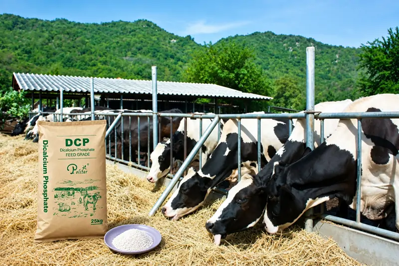 DCP em aditivos alimentares