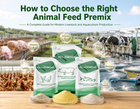 //5mrorwxhompnjik.leadongcdn.com/cloud/pmBqnKmmSRqlinmlmqkm/How-to-Choose-the-Right-Animal-Feed-Premix.jpg