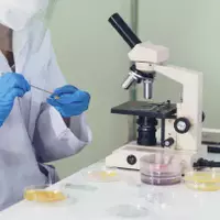 Inspeção de Produto Acabado